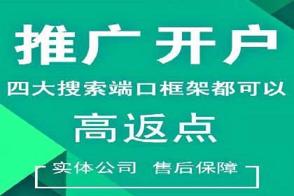 竞价推广中的数据监控与分析：某行业头部企业的成功经验